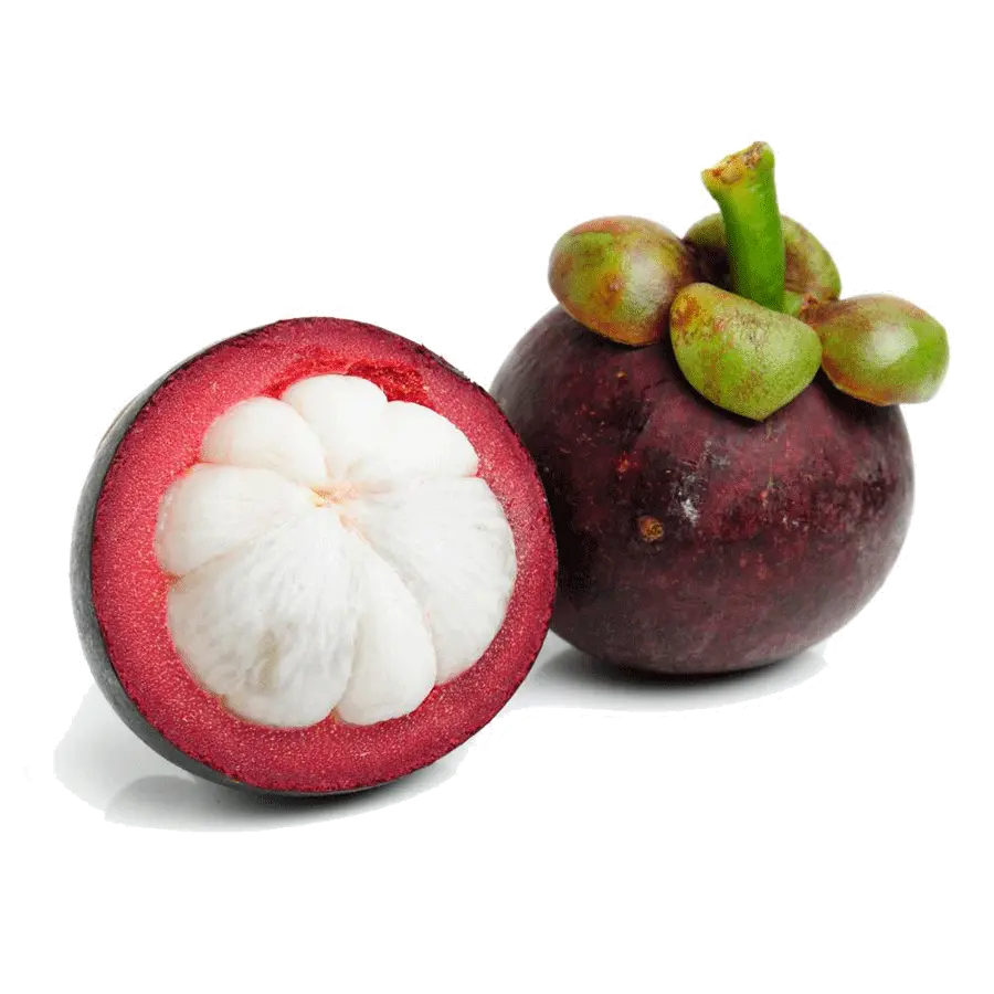 Real Stock Photo of Targil Fruit in Eggplant Color with High Quality