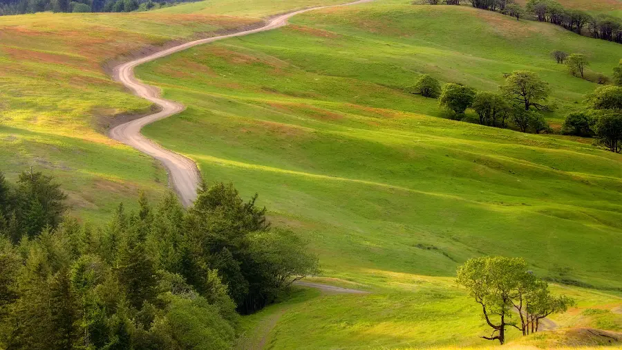 Picture of a small road in the heart of a green plain and extremely eye-catching for printing a picture