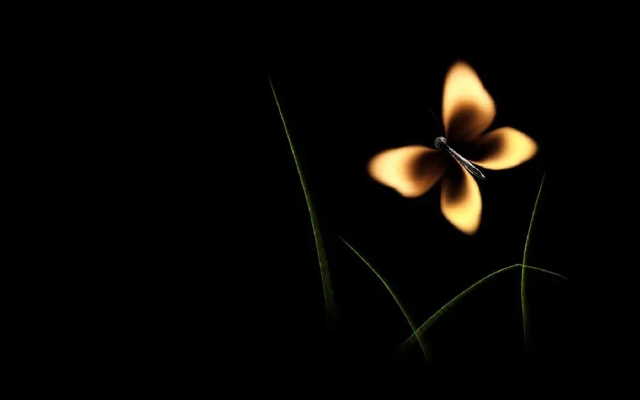 A cool and amazing photo of a yellowish orange butterfly 