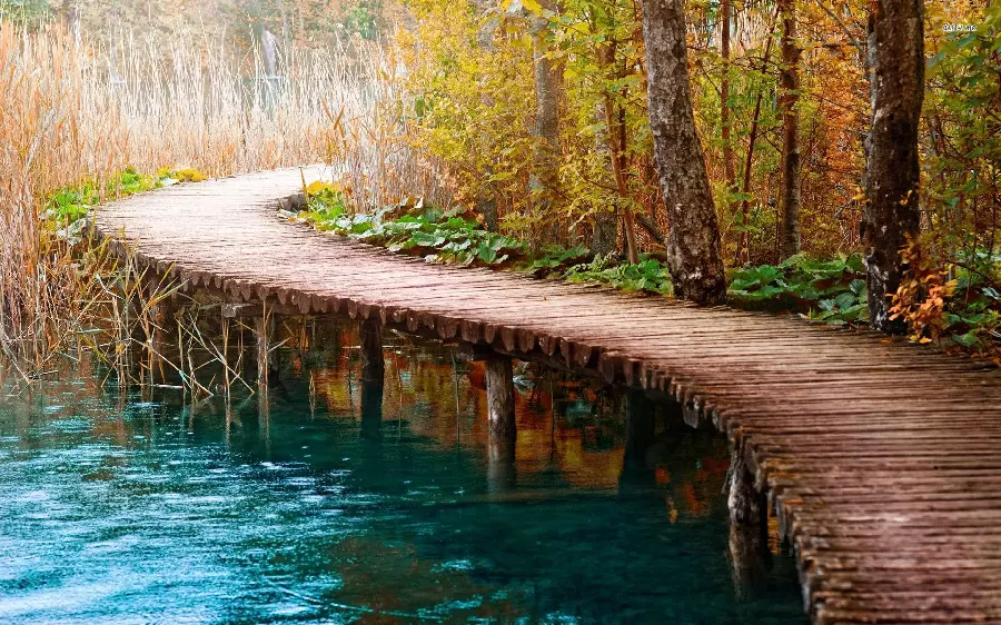 Get a spectacular stock photo of a crescent-shaped wooden bridge on the lake
