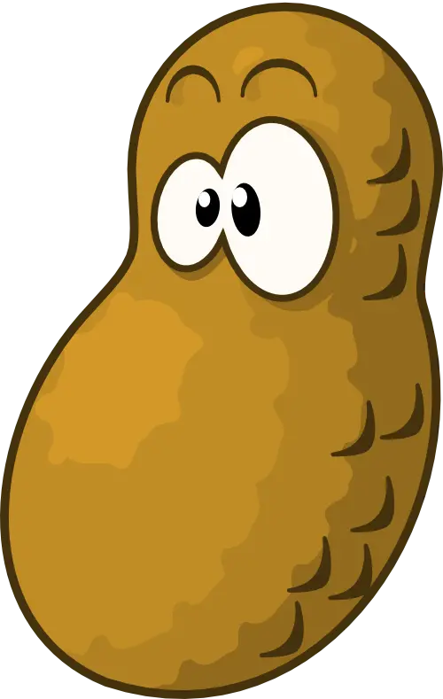 Beautiful and cartoon photo of a peanut with eyes without a background 