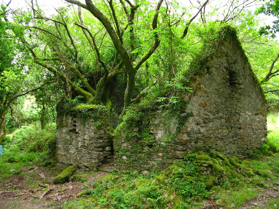 Amazing Story Picture of an Old and Abandoned Forest Cabin