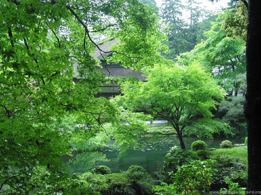 PhotoSpecial with a completely green cover of Zen nature of East Asia 