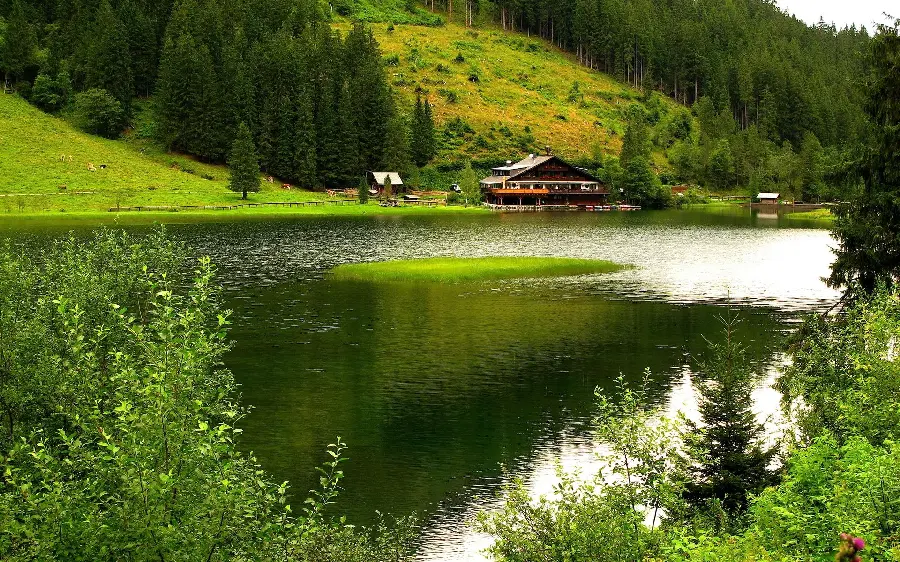 Download an attractive and beautiful background of a beautiful green plain and a dreamy lake