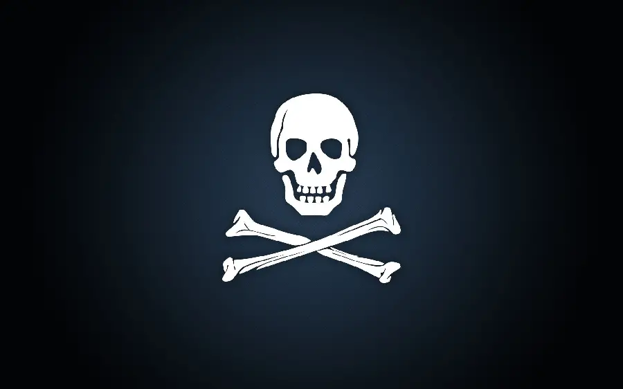 Pirate symbol in bright white with a skull and two bones