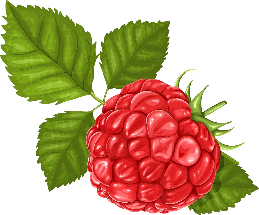 High quality PNG graphic image of red raspberries, cut out, with leaves 