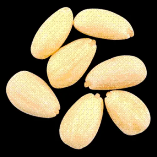 Popular delicious peanut seed photo for editing