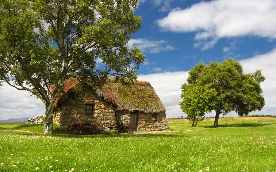 The newest house painting in natureBeautiful and eye-catching summer in high quality ready to print