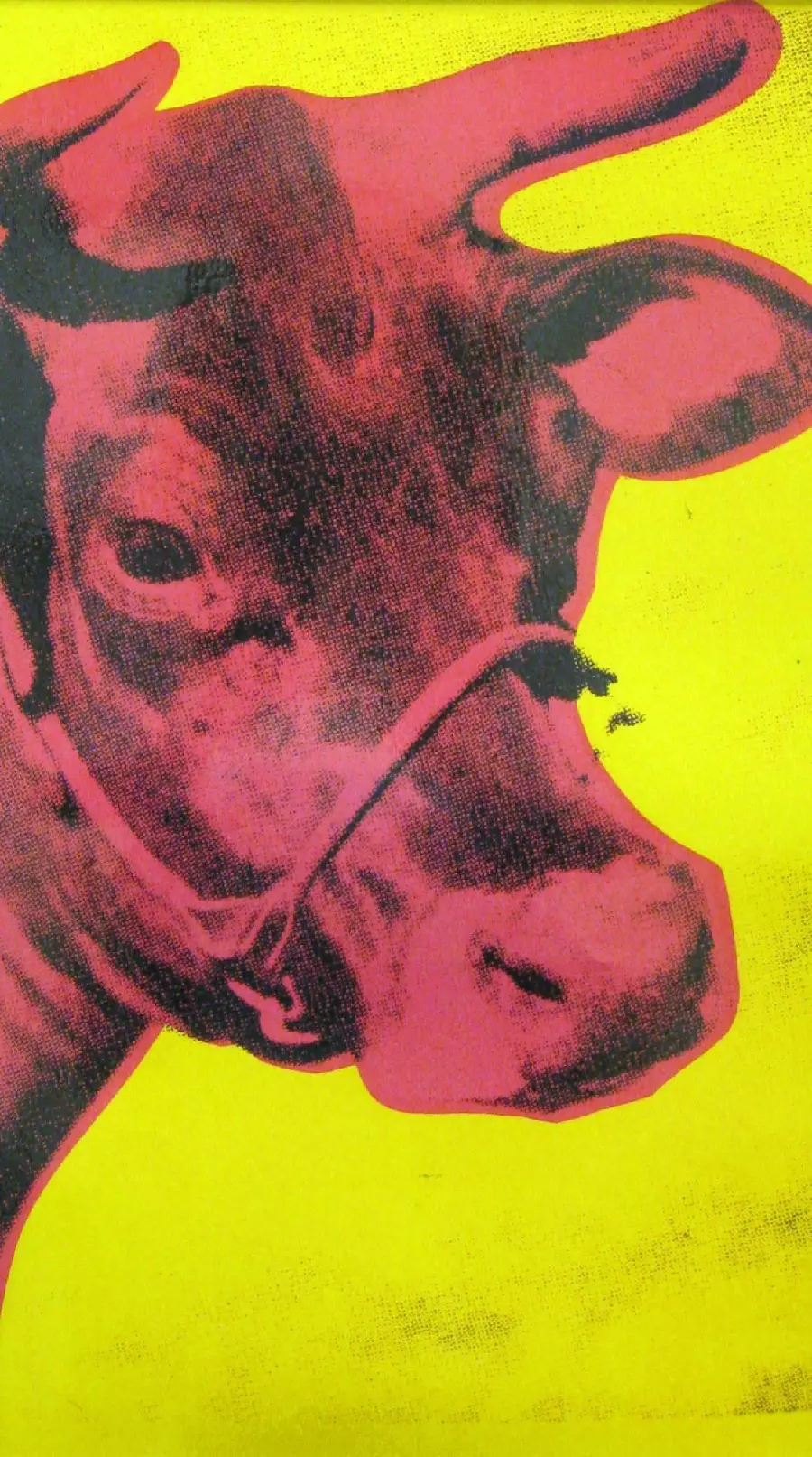 Cow Background 1966 Yellow and Pink Art Print by Andy Warhol African Pop Art