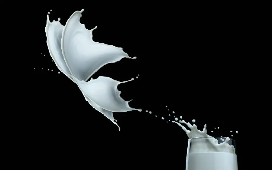 A charming and spectacular picture of delicious milk in the shape of a butterfly 
