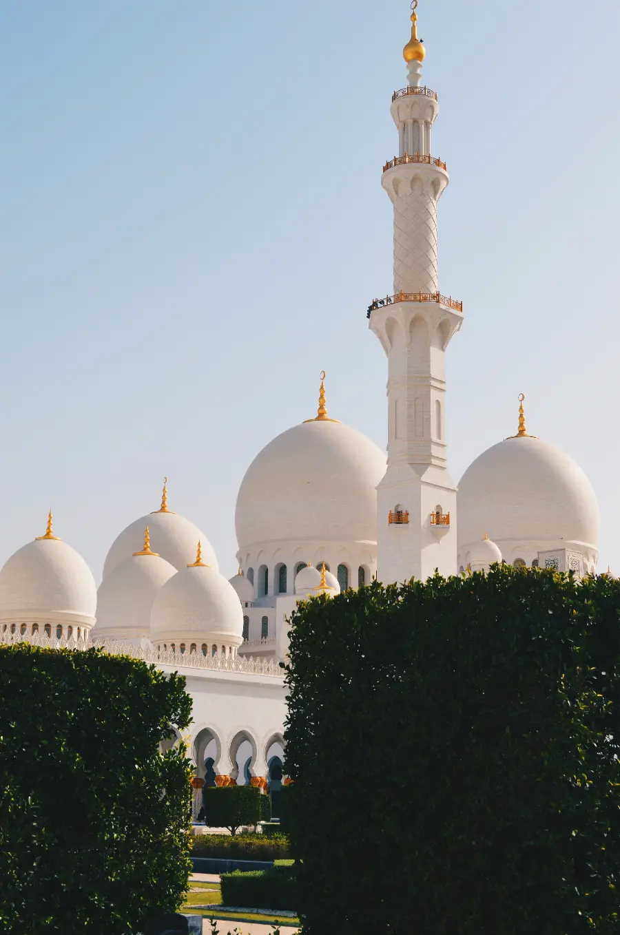 Amazing and spectacular image of the large mosque with tall minarets 