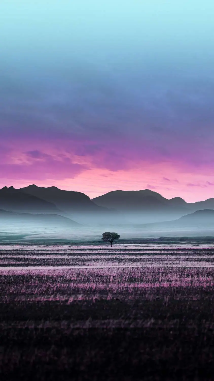 Beautiful and spectacular image of a lonely tree with sunset 