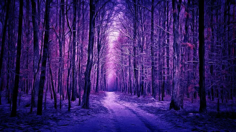 Stunning Digital Painting Art Wallpaper in Purple Theme
