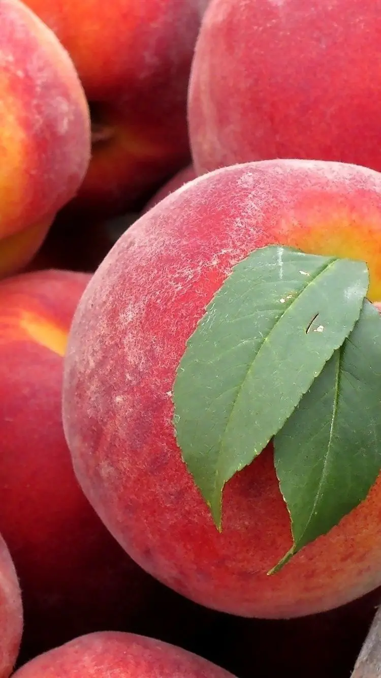 A delicious and delicious peach fruit design mobile background that will melt your heart