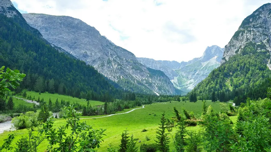 Beautiful and extraordinary and amazing photo of green nature