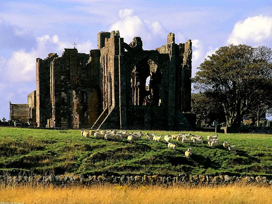 Interesting full hd photo of an old castle in the heart of lush and beautiful nature