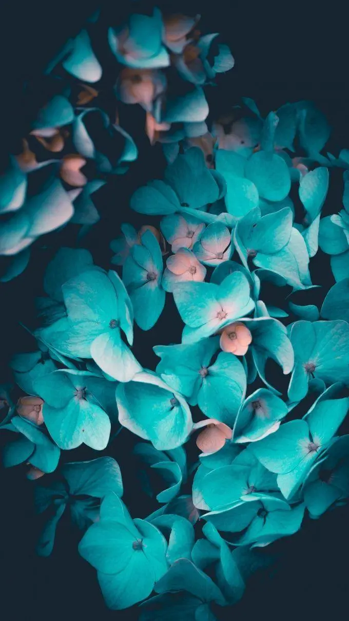 Beautiful Artistic Wallpaper Suitable for iPhone and Android Phones 