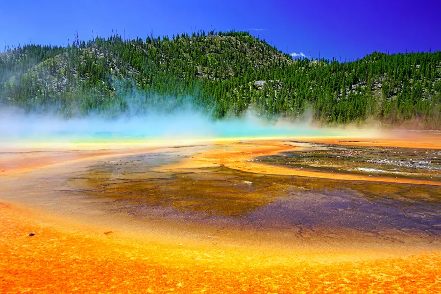 The most dreamy and unique nature stock photo background feed 