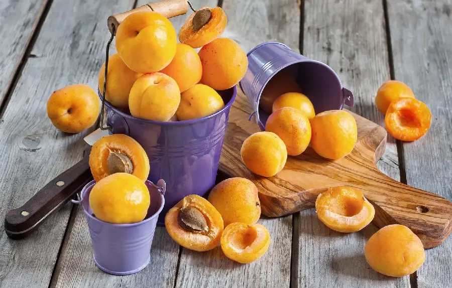 Delicious background of ripe apricots in a purple bowl 