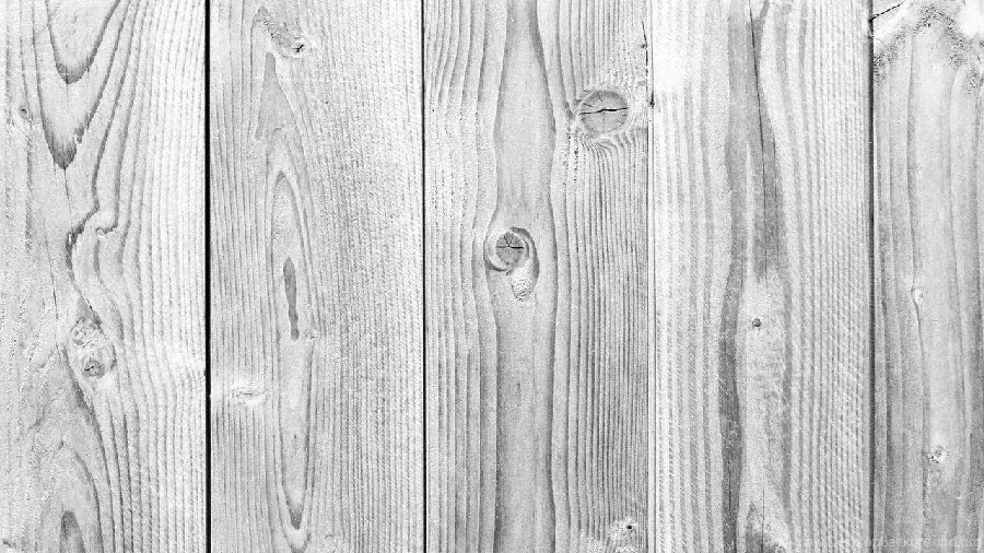 Beautiful photo of white wood texture for use in interior design 