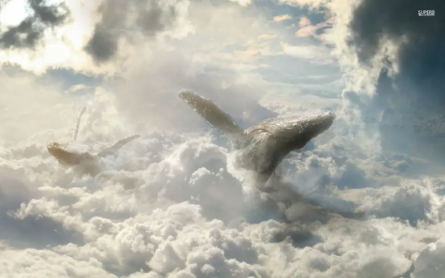 Amazing and spectacular image of small and large whales in the middle of the clouds