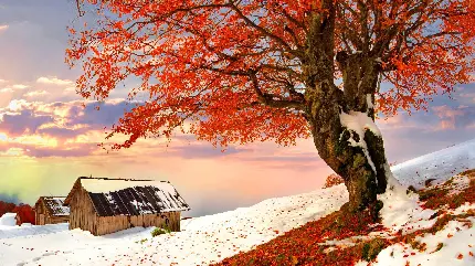 40 Beautiful and High-Quality Wallpapers for Computer Backgrounds