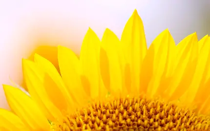 Download 45 New and Stylish Full HD Wallpapers for Computer