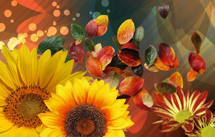 Download a beautiful and beautiful profile picture with a multi-piece design and flower collage