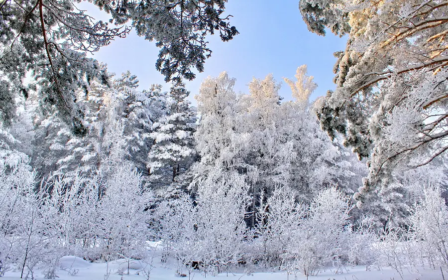 Super relaxing snow photo from winter 