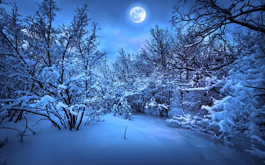 Beautiful winter profile photo for snow and cold lovers