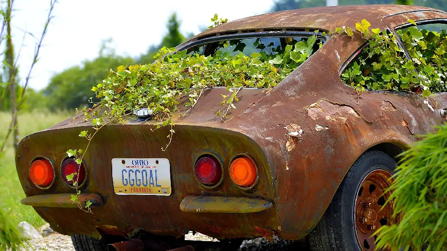 Wallpaper of an old car with grass growing from the body of the car