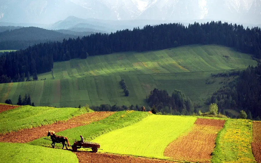 Image of large and dreamy fields in the middle of nature 