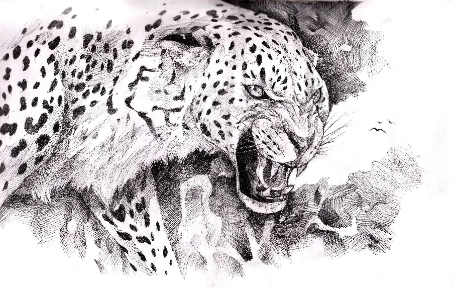 Black and white minimalist painting of an angry leopard