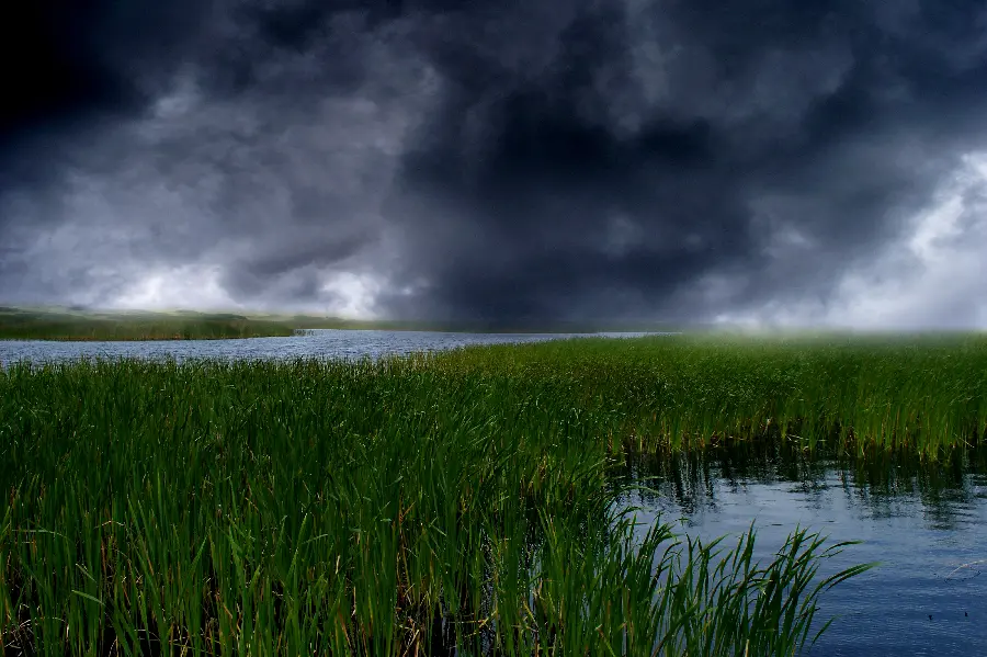 Download photo of meadow with cloudy and rainy weather scary 
