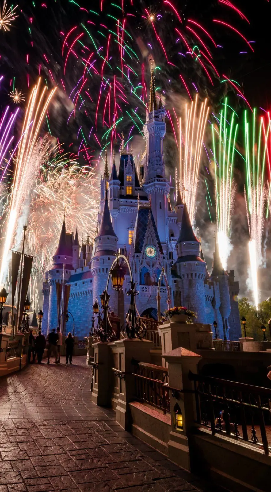 Download Wallpaper from Disneyland Collection for Free 