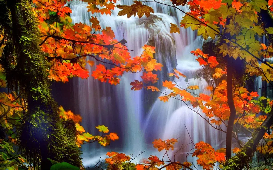 The most special natural landscape of a tall and watery waterfall in the fall