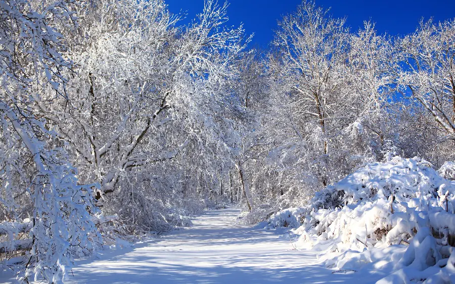 Winter in the picture with a great view for lovers of this season
