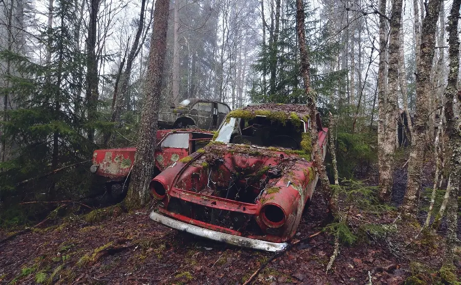 Stock of several old cars abandoned in the forest and nature 