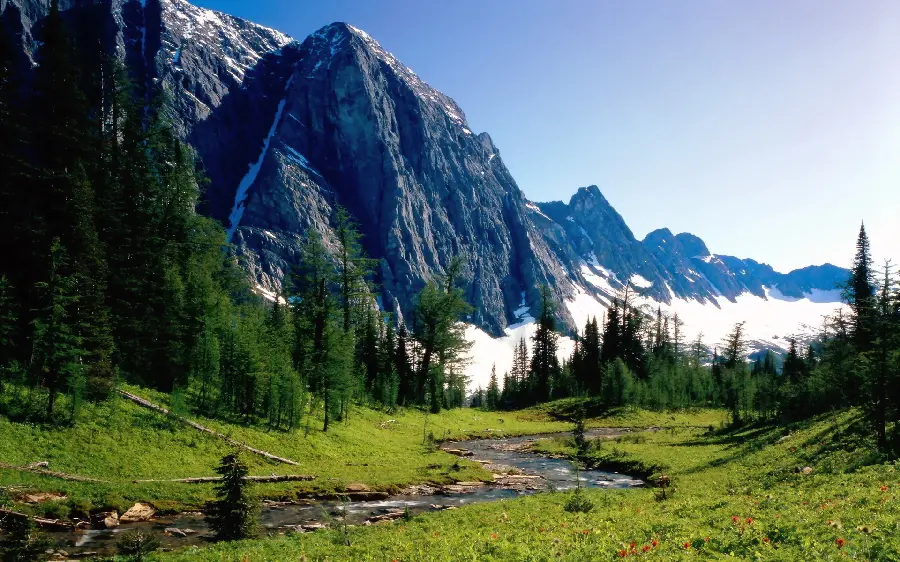 Scenic wallpaper of the view of Banff National Park located in Canada