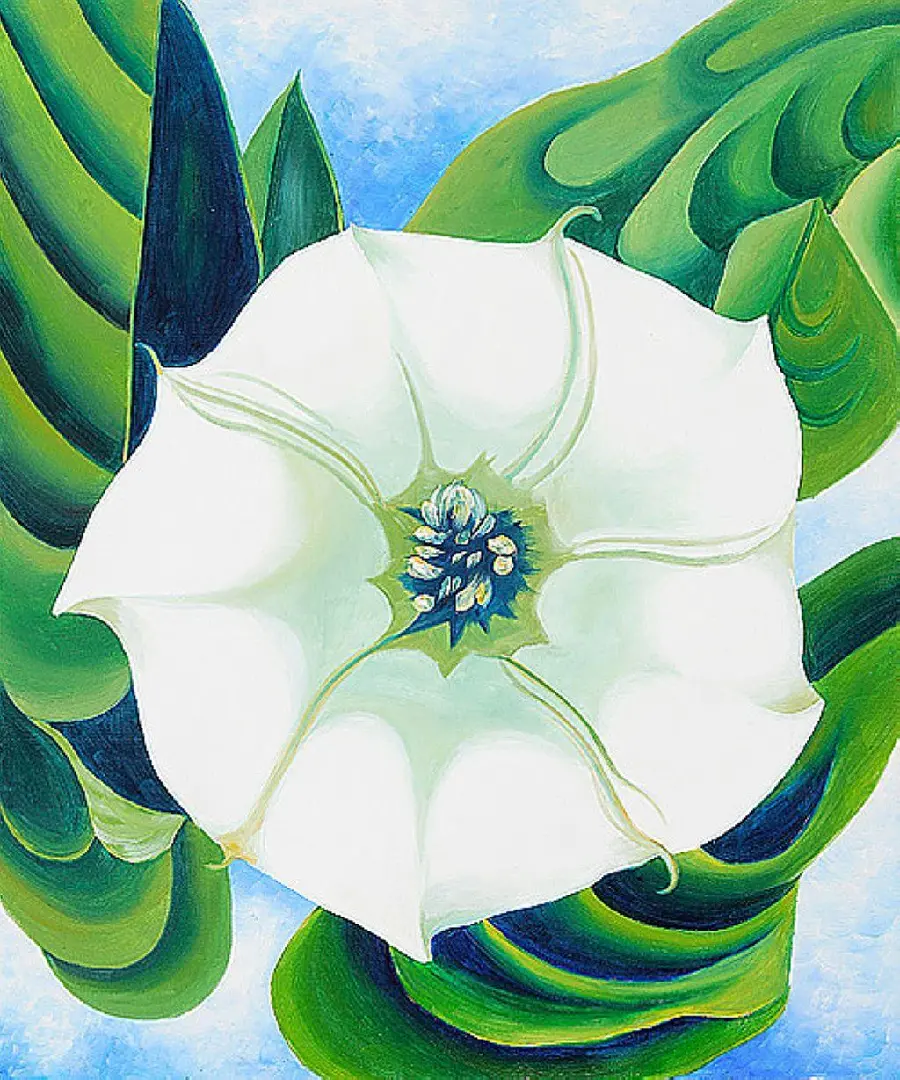 Background of a very beautiful and amazing painting of white flowers by Georgia O'Keeffe