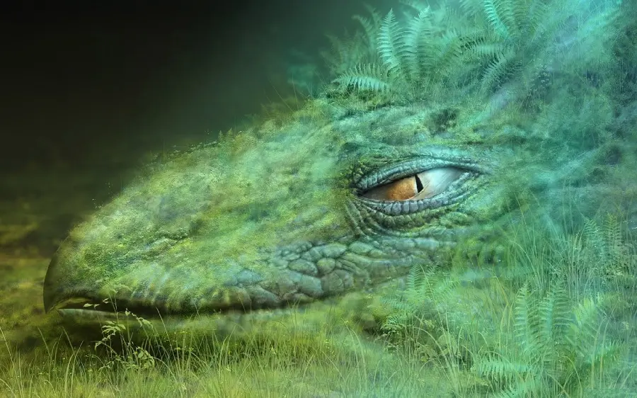 Stunning and interesting background of a combination of fantasy and magic