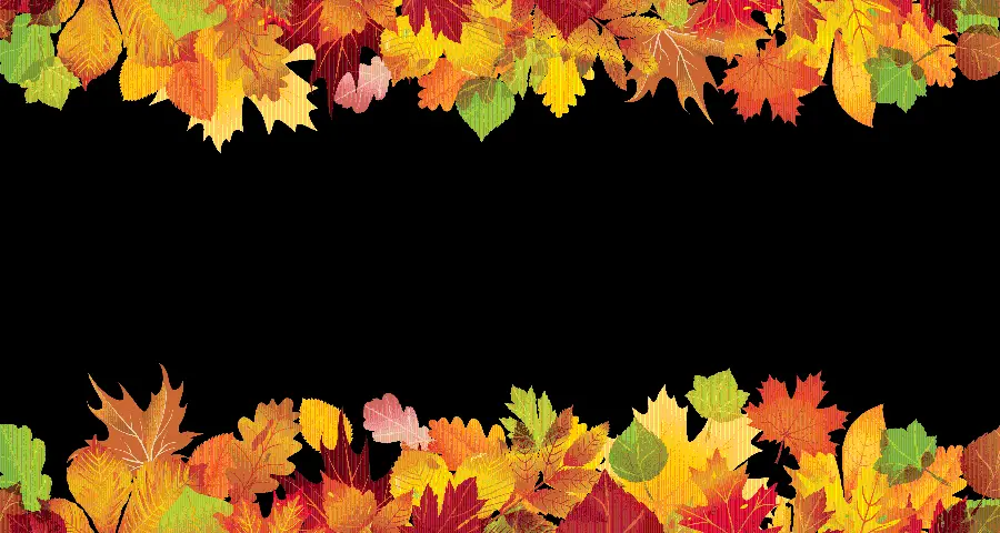 PNG image of autumn leaves design frame with black background 