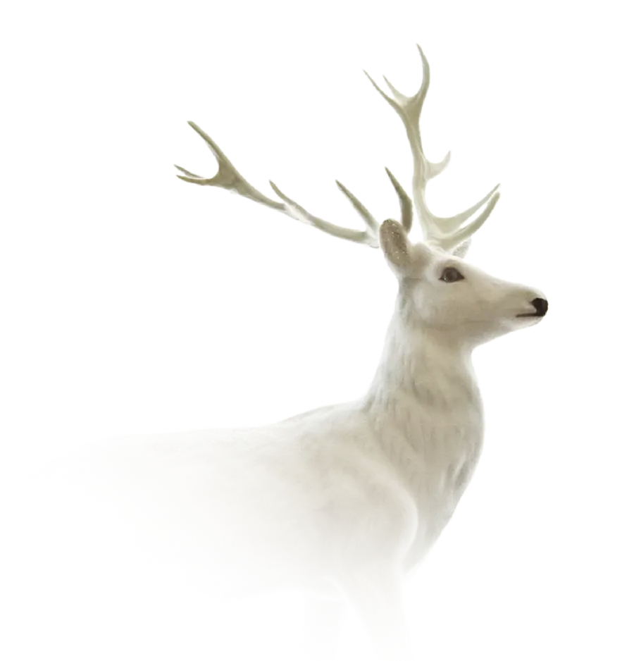 The most stylish white deer png image with black background