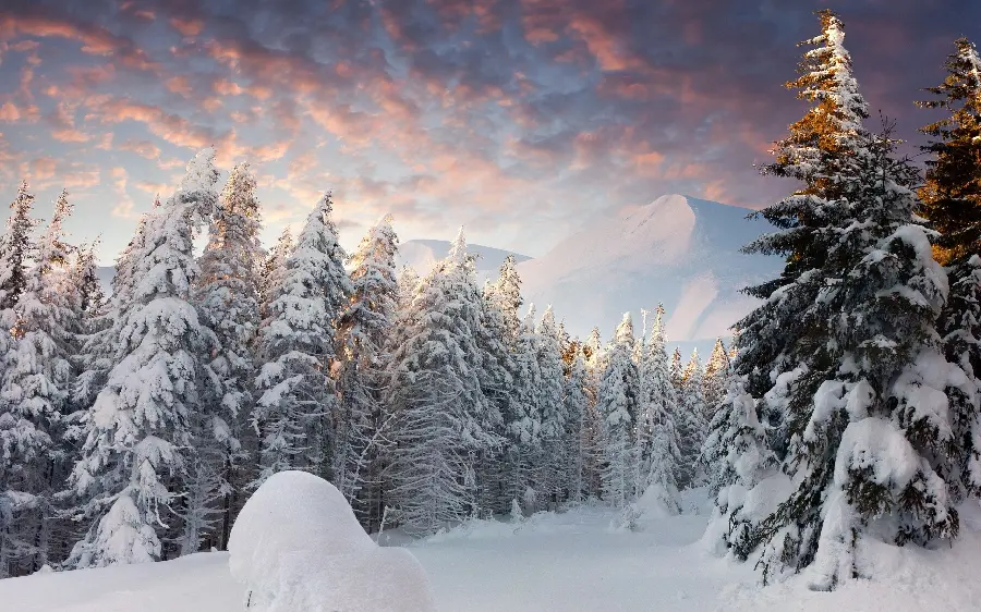 The most beautiful horizontal winter wallpaper for laptop 