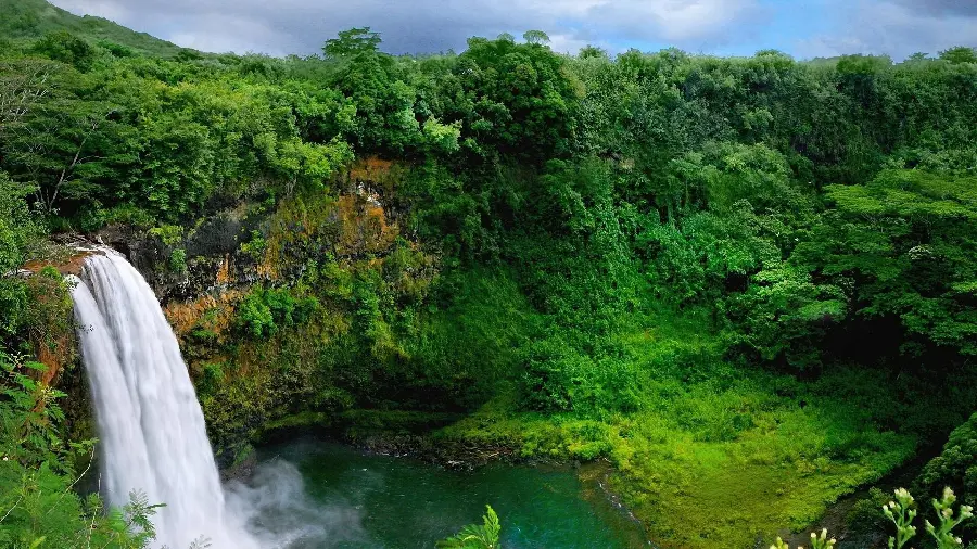 Download photo of lush nature by the village lakeWonderful with a very amazing waterfall 