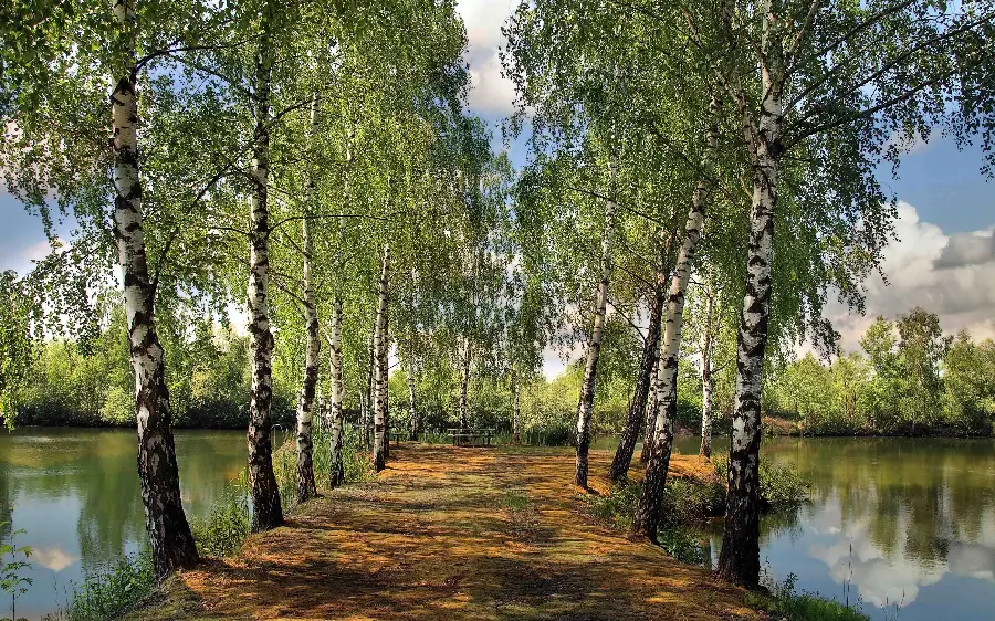 Download a free and high-quality photo of a relaxing and energizing bridge over the lake