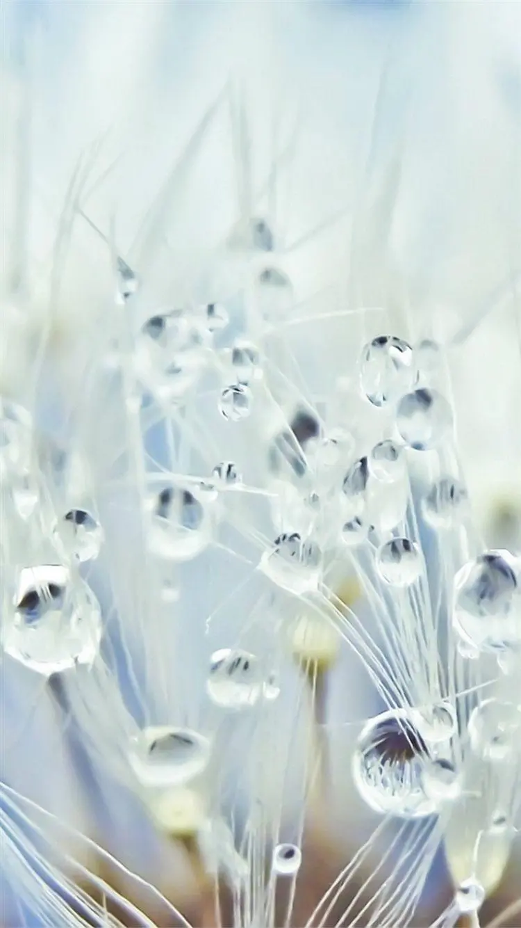 Cool Crystal and Glass Flower Wallpaper for iPhone Backgrounds