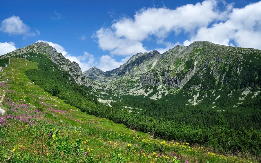 Download attractive and special photo of lush mountain nature suitable for background 