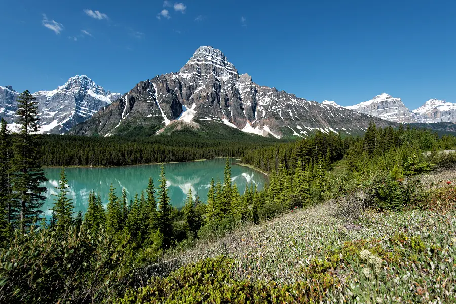 Beautiful mountain nature design wallpaper suitable for all types of mobile phones 