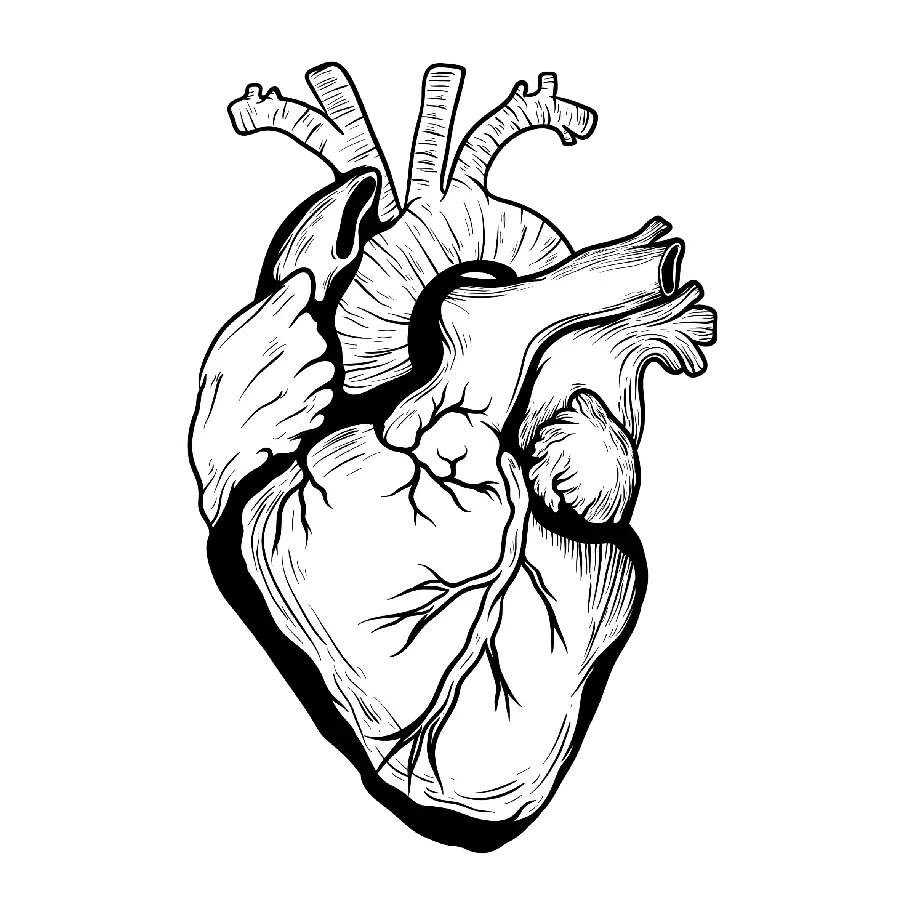 A very special and trendy photo of a real heart tattoo design, cut out in PNG format
